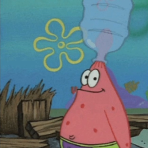 Meet your Posher, Vogel - Picture 1 of 1